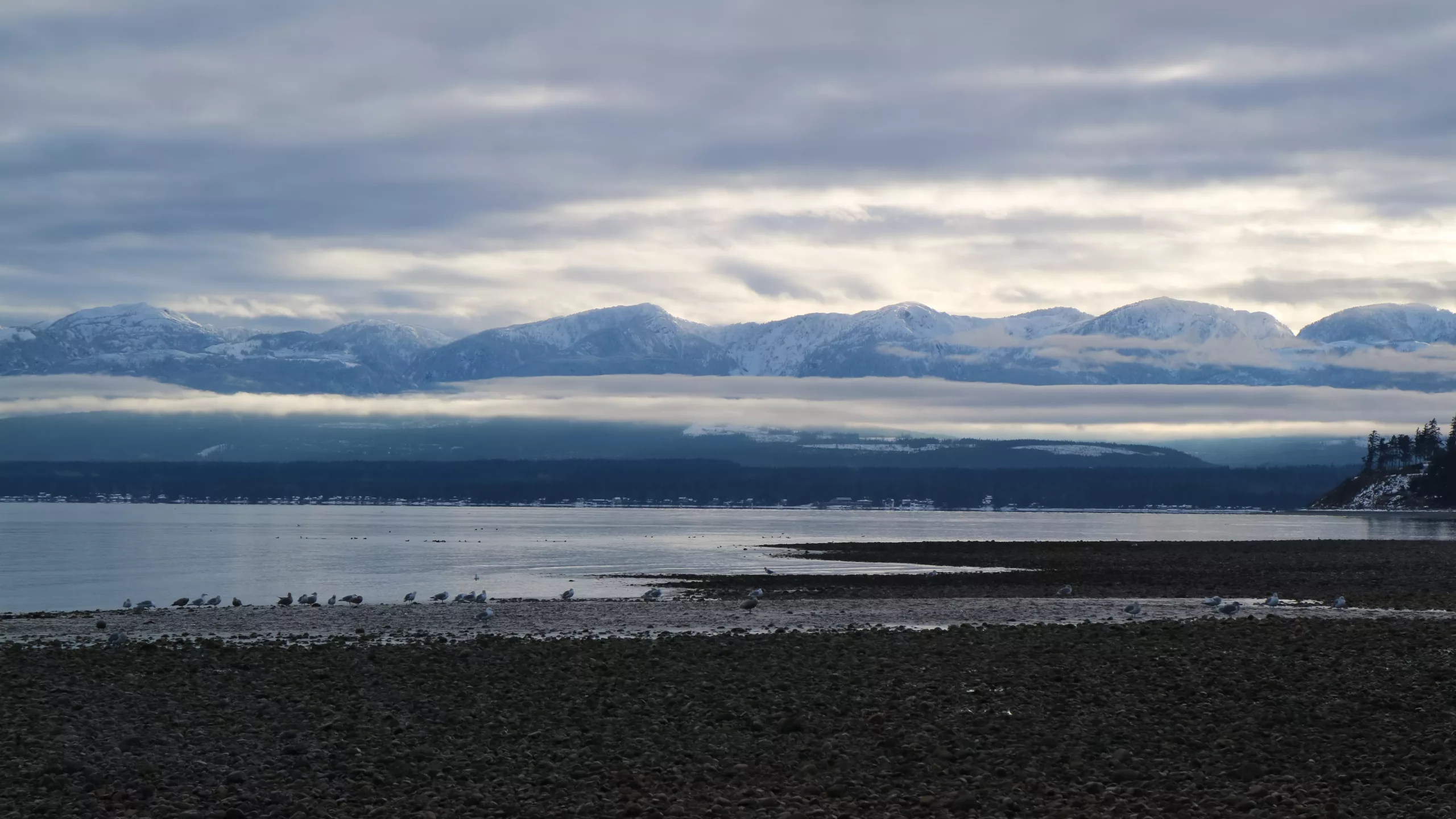 Photo of Comox bay and mountains.